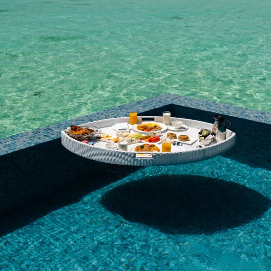 My Perfect Vacation