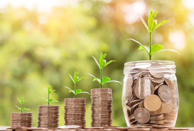 Money Market Funds